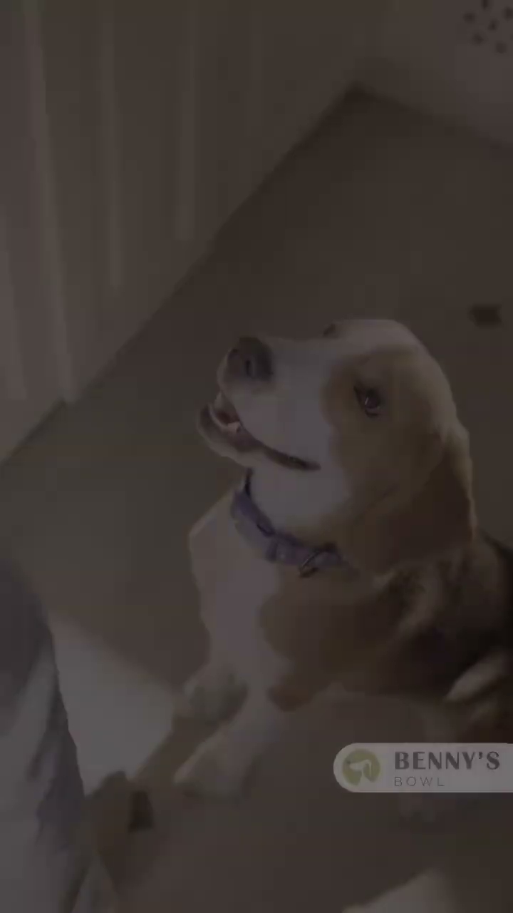 Benny's Bowl Performance Ad